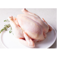 Organic Whole Chicken (Meat)