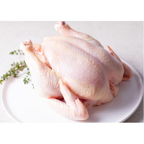 Organic Whole Chicken (Meat)